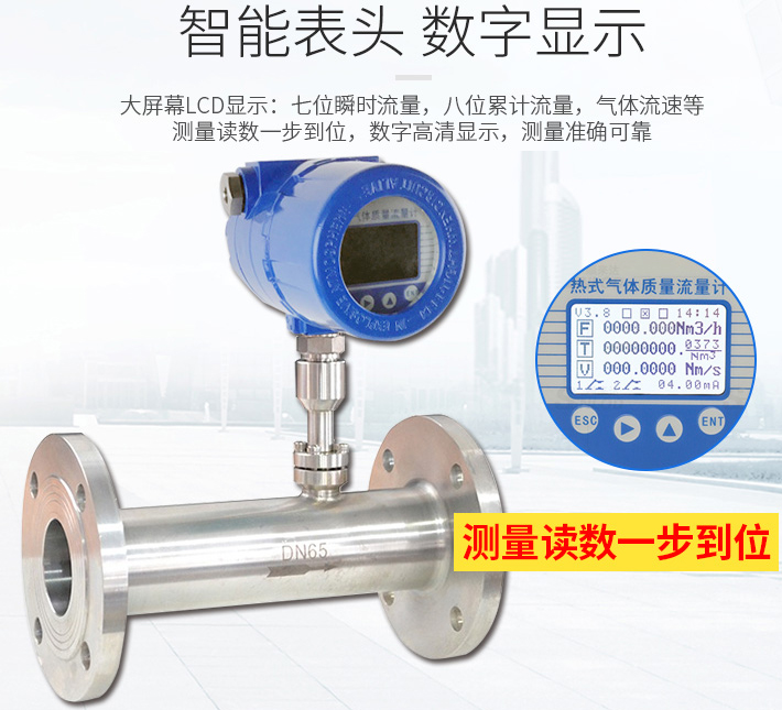 氧氣流量計(jì)液晶表頭顯示圖